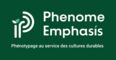 Phenome-Emphasis Phenome-Emphasis