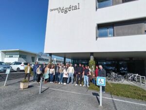 Formation Deep Learning 2026